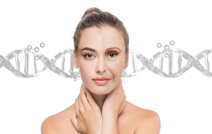 Somon DNA Tedavisi